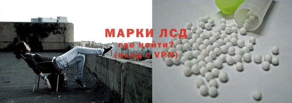 прущие грибы Алексеевка