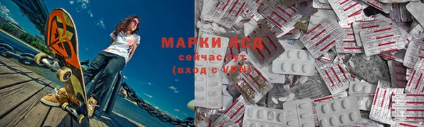 прущие грибы Алексеевка